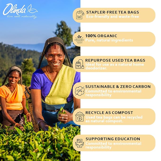Olinda Turmeric Herbal Tea Ginger Ginseng Tea Organic Tea Bags Caffeine Free Tea Bags 100% Pure Herbs Brew Hot 28 Tea Bags Pack of 1