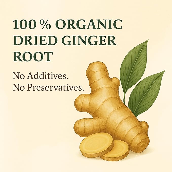 Organic Ginger Tea (100 tea bags | 7 oz | 200g)