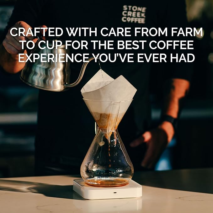 Stone Creek Coffee Light Roast Whole Bean Coffee – 12 Ounce (Pack of 1) – Smooth Specialty Fresh Roasted Coffee Beans with Juicy and Citrus Tasting Notes, Boneshaker Colombia