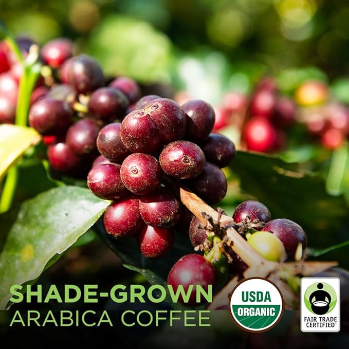 Tiny Footprint Coffee - Fair Trade Organic Nicaragua Segovia Dark Roast | Whole Bean Coffee | USDA Organic | Fair Trade Certified | Carbon Negative | 3 Pound