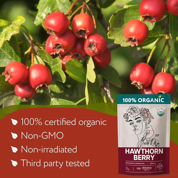 Zhivana Organics Organic Hawthorn Berry (8oz.) - Hawthorne Tea for Herbal Teas, Infusions, Tinctures, Culinary Recipes