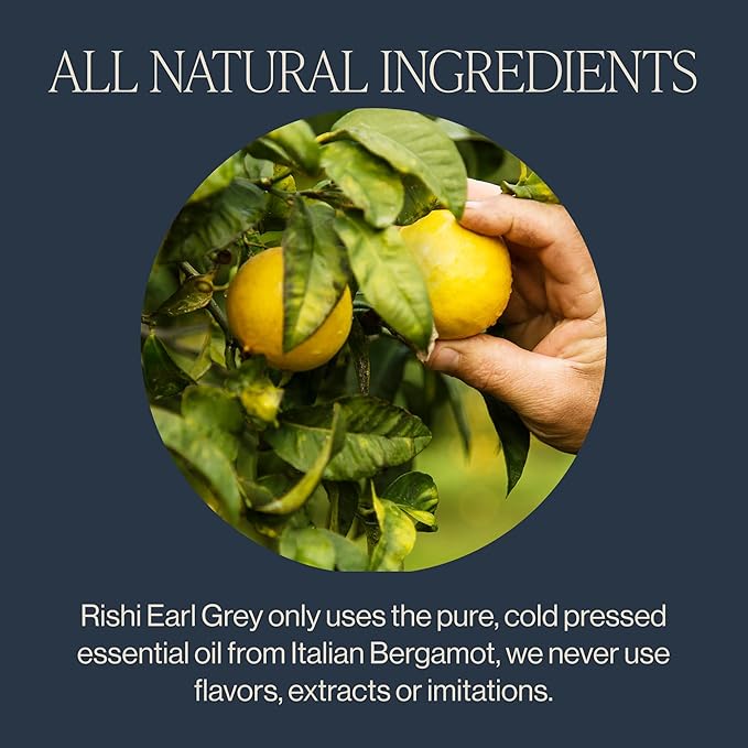 Rishi Tea Earl Grey Tea - Organic Sachet Tea Bags, Pure Black Tea with Bergamot Oil, Energizing & Caffeinated - 15 Count (Pack of 1)