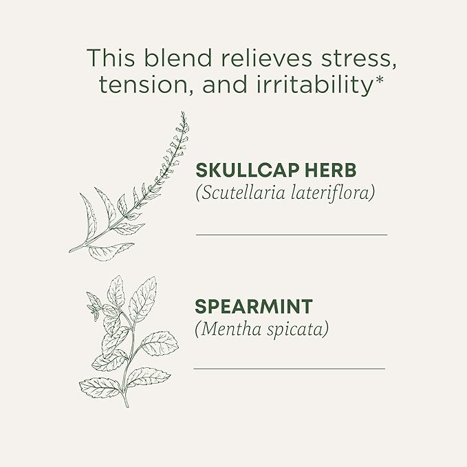 Traditional Medicinals Organic Stress Ease Tension Relief Tea, Lemon Verbena Mint, 96 Count (Pack of 6)