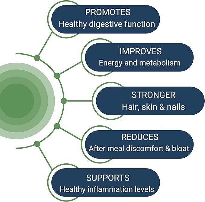 Healthy Gut HCL Guard+ | Promotes Healthy Digestive Function | Betaine Hydrochloride, Organic Ginger Root, DGL, and Pepsin | 60 Servings