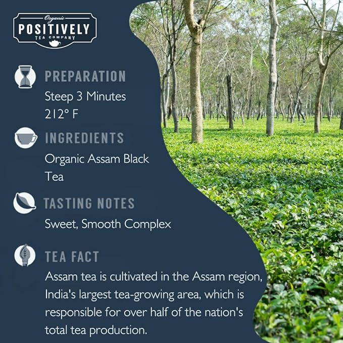 Organic Positively Tea Company, Assam Black Tea Bags, 100 Count, Eco-Friendly Tea Bags, Non-GMO