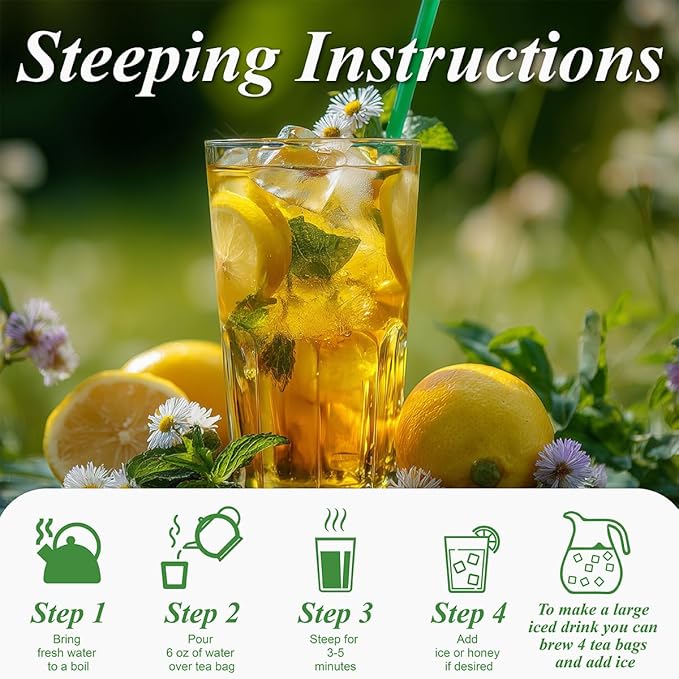 WT WEETEE Green Tea with Lemon, 100 Count Lemon Green Tea Bags, Flavored Green Leaves with Lemonpeel Lemongrass Lemonbalm