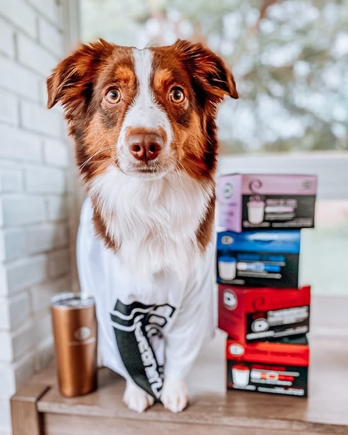 Vanilla Macadamia Nut Coffee Pods by Coffee Beanery | 48ct Bulk Medium Roast Arbica Coffee