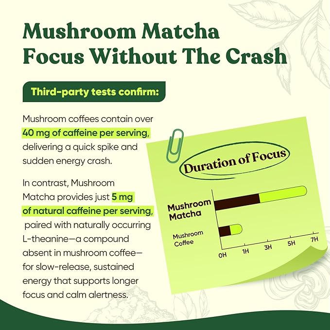 Venture Pal SUPERFOODS Mushroom Matcha Powder – 12 Adaptogenic Mushroom Coffee Alternative with 1.5B Probiotics & L-Theanine, First Harvest Ceremonial Matcha for Focus & Energy, 30 Servings
