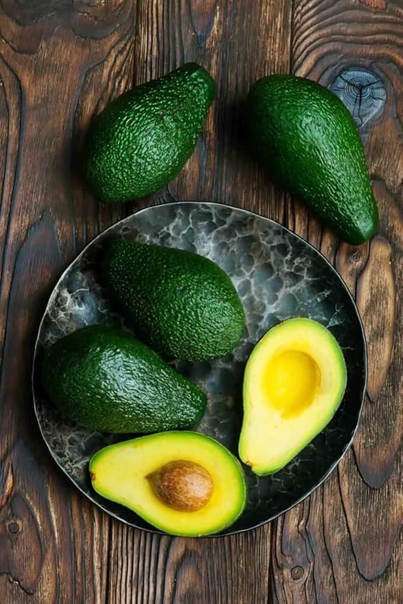 Avocado B Tee 1ft