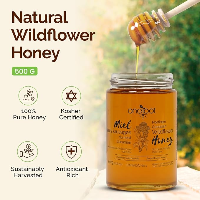 OneRoot Natural Wildflower Honey - 1.1 lbs / 500g, Pure Canadian Boreal Forest - Unpasteurized, Minimally Filtered & Single-Source - Rich in Enzymes & Antioxidants - Raw Liquid Honey