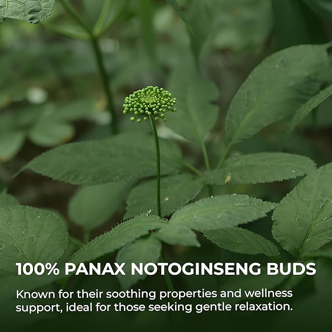 Panax Notoginseng Flower Buds - 2.82 oz, Pure Dried Sanchi Flowers, Herbal Tea for Relaxation & Wellness, Support Immunity, Rebrewable, Ideal for Drinking, Cooking & Potpourri