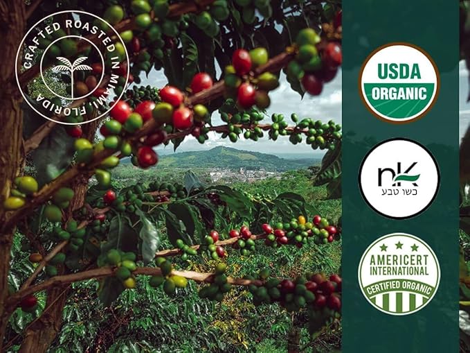 Artizan Coffee Roasters Organic Hemp Espresso Capsules For Nespresso Original | Hemp Fusion | 120 Compatible Compostable Pods