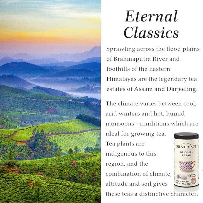 Silverpot Original Assam - 50 Round Tea Bags | Indian Black Tea, CTC | Caffeinated, Farm-Direct | Reusable Tin