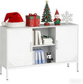 TV Stand with Door and Adjustable Shelves Sideboard Buffet Cabinet Coffee Bar Metal Locker Pantry with 2 Shelves for Office Home Kitchen Living Room (White, 47.24" D x 13.78" W x 29.53" H)