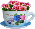 7.5” Round Ceramic Teacup Shape Planter Pot with Saucer for Succulents Orchid Herbs Cactus Indoor Houseplants Flowers for Home Garden and Event Decor – Yellow Butterfly Garden