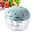 Manual Food Processor Vegetable Chopper, Mini Hand Pull String Garlic Chopper Onion Cutter for Veggies, Ginger, Fruits, Nuts, Avocado, garlic etc., Food Safe Material, 160ml (blue)