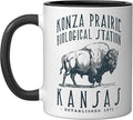KONZA PRAIRIE, KANSAS. BISON DESIGN Ceramic Mug, Black/White