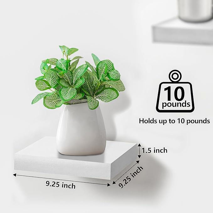 Sorbus Square Floating Shelf for Wall - 4 Small Shelves with Invisible Mounting Brackets for Living Room Decor, Bedroom, Bathroom Decor, Home & Kitchen - 9" Wall Shelf to Display Photos Trophies