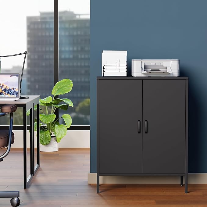 Black Metal Storage Cabinet,Metal Locker Storage Cabinet with 2 Doors and Shelves,Kitchen Pantry Cabinet,Modern Storage Freestanding Organizer Rust for Home,Kitchen,Office