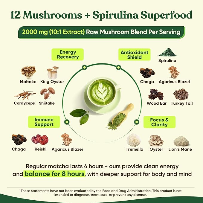 Venture Pal SUPERFOODS Mushroom Matcha Powder – 12 Adaptogenic Mushroom Coffee Alternative with 1.5B Probiotics & L-Theanine, First Harvest Ceremonial Matcha for Focus & Energy, 30 Servings