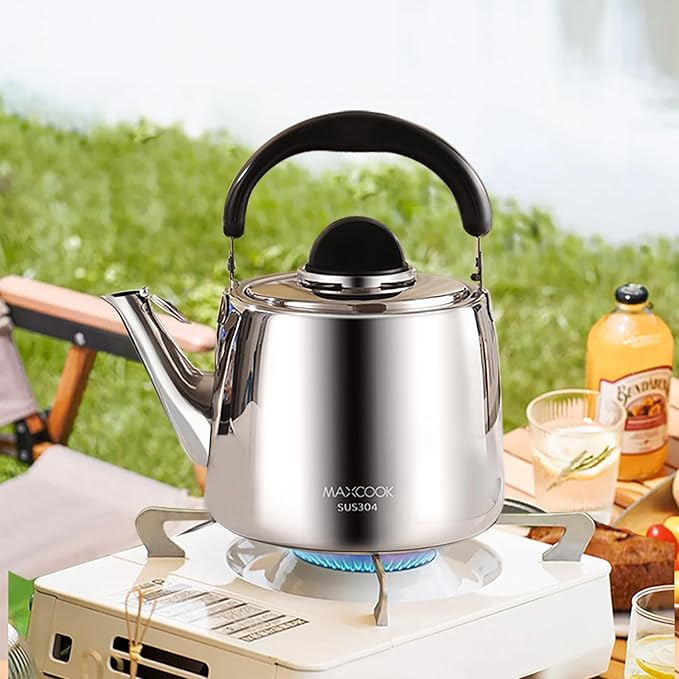 Tea Kettle, 18/8 Stainless Steel Whistling Teapot, 3.17 Quart, Fast Boiling, Anti-Hot Wood Handle (3L,Silver)