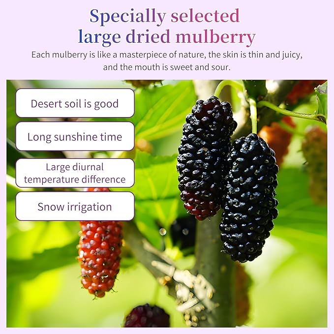 Wanhua Hall Premium Dried Black Mulberries Fruit Black Mulberry Tea No Sugar Added, No Additives, All Natural, Unsulfured Great for Desserts and Tea, Healthy Fruit Snack 黑桑椹干 桑葚280g/10oz