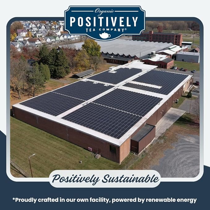 Organic Positively Tea Company, Nilgiri FBOP Black Tea, Loose Leaf, 4 Ounce