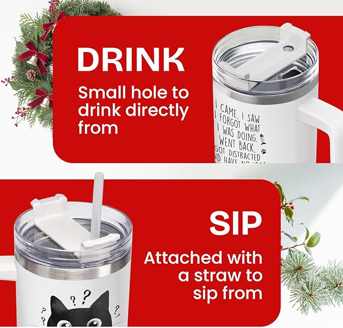 34HD Funny Black Cat Tumbler with Handle and Straw, 40oz Double Wall Vacuum Insulated Pet Mug, I Came I Saw Forgot Cup, Cat Gifts for Women Men Birthday Mothers Day Halloween Christmas
