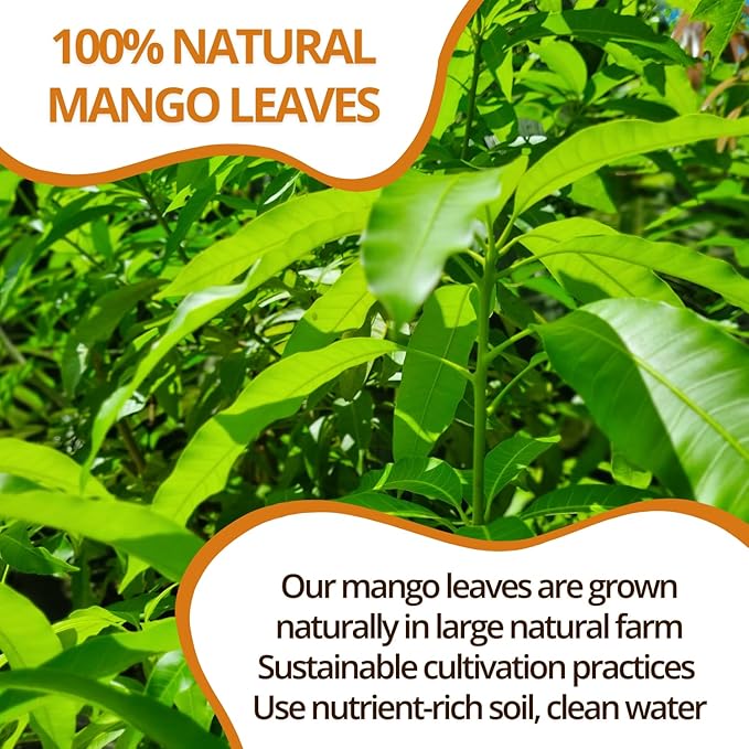 VIDA FARM 125 Mango Tea Bags, 100% Natural Dried Mango Leaves Herbal Tea Bags, Handpicked Leaves Tea, No Sugar, No Caffeine, Vegan