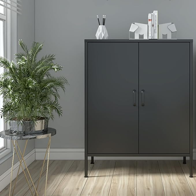 Black Metal Storage Cabinet,Metal Locker Storage Cabinet with 2 Doors and Shelves,Kitchen Pantry Cabinet,Modern Storage Freestanding Organizer Rust for Home,Kitchen,Office