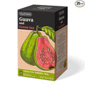 Life Plus Style Gourmet Tea Town Guava Green Tea 25 Individually Wrapped Tea Bags Fruity & Refreshing Blend Antioxidant-Rich Green Tea for Wellness Hot or Iced Tea Gift for Women & Tea Lovers
