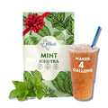 HTeaO Mint Black Iced Tea Bags – Makes 4 Gallons in 5 Minutes – Large Loaded Tea Sachets for Parties, Family Gatherings, & Groups – Texas-Style Ice Tea Packets for Quick Brew (8-Count)