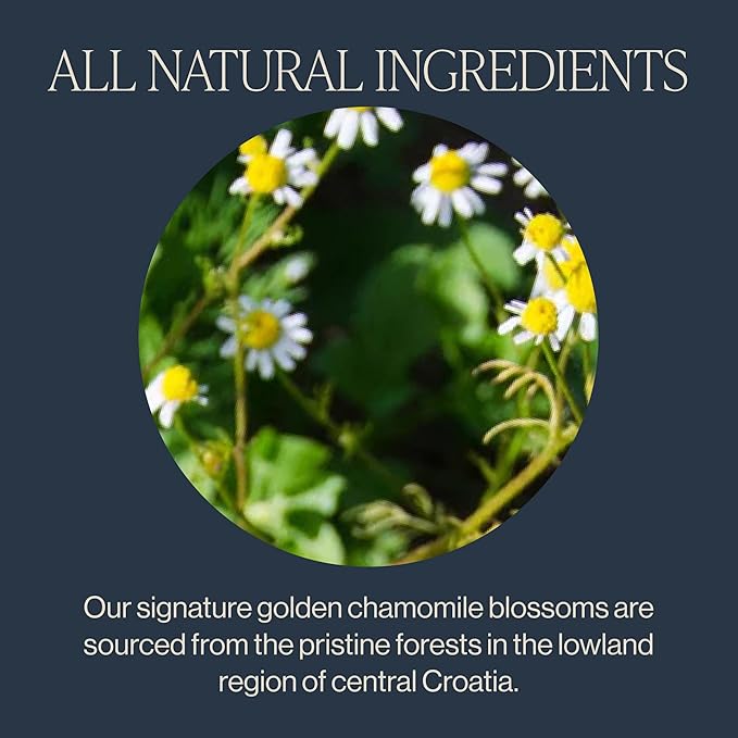 Rishi Tea Chamomile Medley Herbal Tea - Organic, Caffeine Free Sachet Bags, Calming Chamomile Flowers with Lemon Verbena & Mint - 15 Count (Pack of 1)