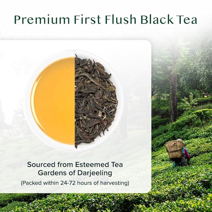 VAHDAM, First Flush Darjeeling Tea - 50 Cups (3.53oz) | Loose Leaf Black Tea - Flowery, Aromatic & Delicious | Picked, Packed & Shipped Direct From India | Champagne Of Teas | Mellow & Fragrant