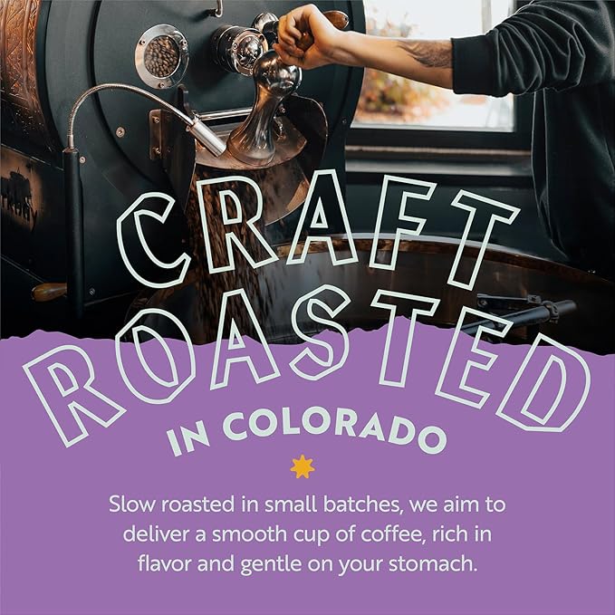Clean Coffee Co. - Low Acid Medium Roast, Tested for Molds and Toxins, Costa Rica Blend, Notes of Milk Chocolate, Roasted Nuts, Toasted Malt (Whole Bean, 12 oz Bag)