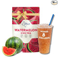 HTeaO Watermelon Iced Tea Bags – Makes 8 Gallons in 5 Minutes – Large Loaded Tea Sachets for Parties, Family Gatherings, & Groups – Texas-Style Ice Tea Packets for Quick Brew (16-Count)