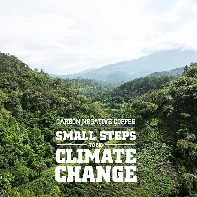 Tiny Footprint Coffee - Organic Cold Brew & Press Elixir | Blend of Light & Dark Roasts | Shade-Gown Ground Coffee, Carbon Negative, 16 Ounce