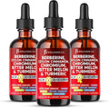 Berberine with Ceylon Cinnamon Supplement Liquid Drops + Bitter Melon Extract, Glucomannan, Gymnema, Chromium, Turmeric, Panax Ginseng, Moringa- 6 OZ