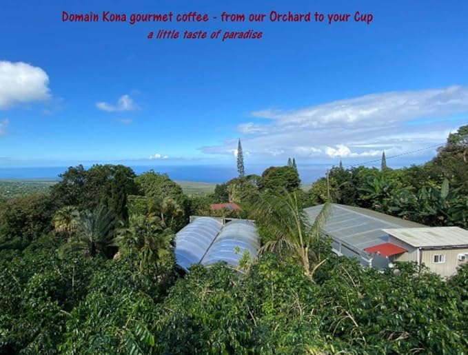 100% Kona Coffee PEABERRY – GROUND, Almost Dark roast, Single estate gourmet coffee, 8 ounces, ships direct from Domain Kona Coffee, farm fresh