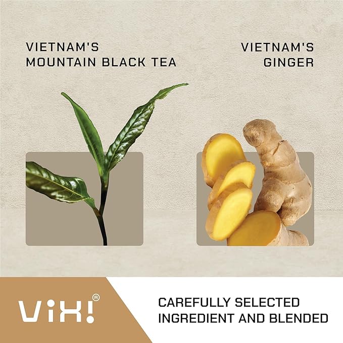 VIXI Flavored Ginger Black Tea Bag, Vietnam's Mountain Tea, 100 Counts, 100% Natural from Ancient Tee Tree, Black Tee Blend with Ginger for Hot and Cold Brew (Vietnamese Taste, 7.0 Oz)