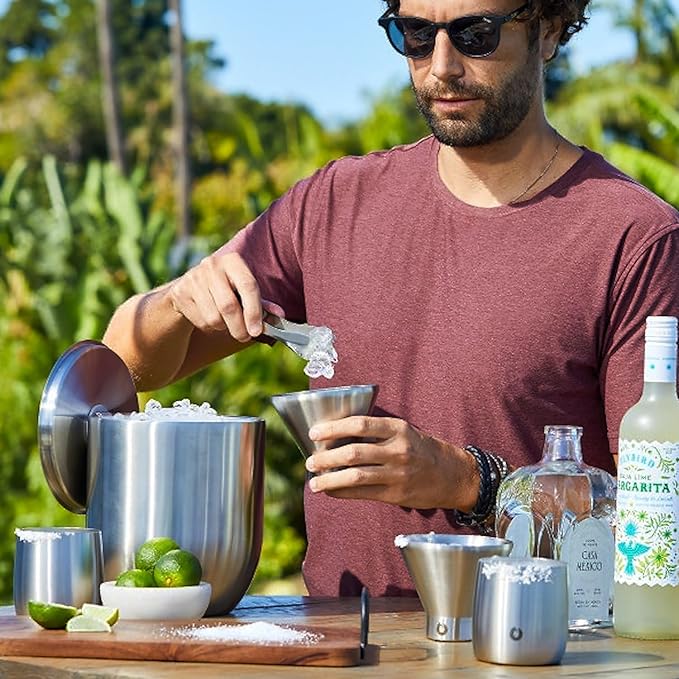 Snowfox Premium Vacuum Insulated Stainless Steel 22oz Cocktail Shaker and 4 Martini Glass Set, Home Bar Accessories, Elegant Drink Mixer, Leak, Proof Lid With Jigger & Built, In Strainer, White/Gold