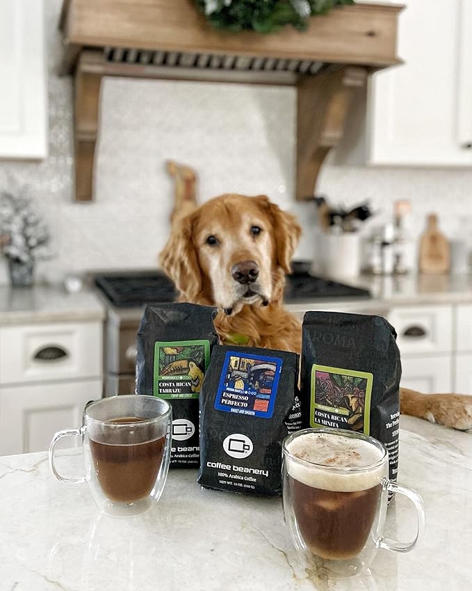 Espresso Perfecto Specialty Coffee | 12oz. Coffee (Automatic Drip Ground)