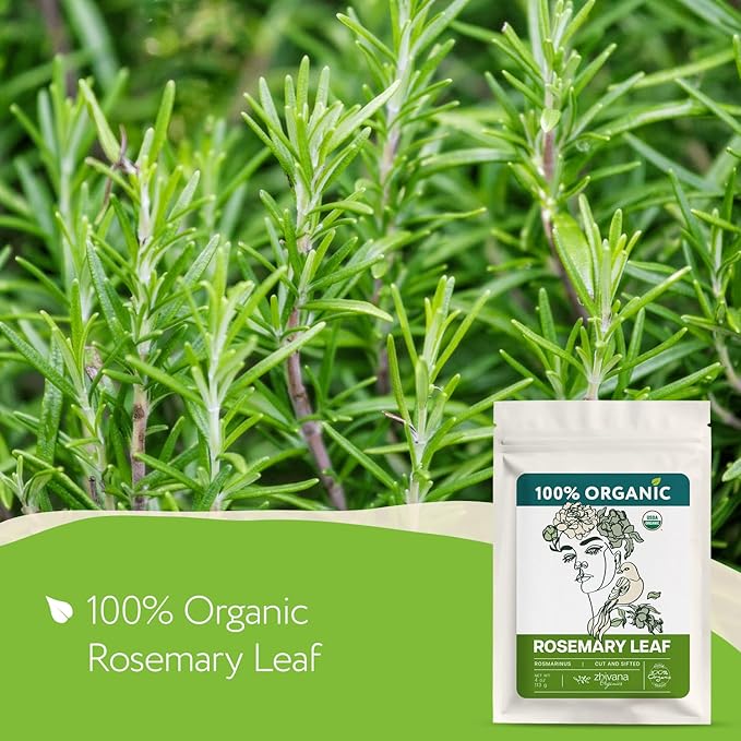 Organic Rosemary Leaf (4 oz.) (Rosmarinus officinalis) – Loose Dried Leaves – Edible Grade for Tea, Seasoning & Herbal Use