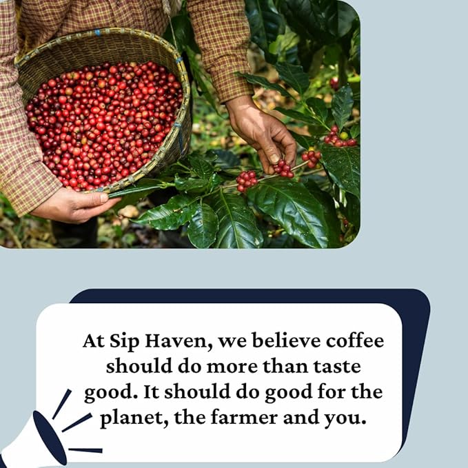 SipHaven | Sipper’s Murmur | Swiss Water Decaf Coffee | Ethiopia Single Origin | Medium Roast Whole Bean | Chemical-Free | Specialty Grade | Small-Batch Roasted in USA | 1lb