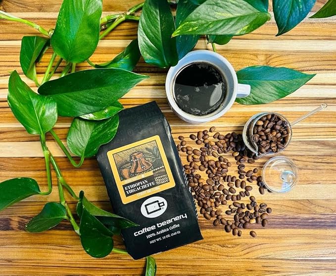 Ethiopian Yirgacheffe Specialty Coffee | 1 Bag of 12oz. Coffee (Automatic Drip Ground) | Light Roast