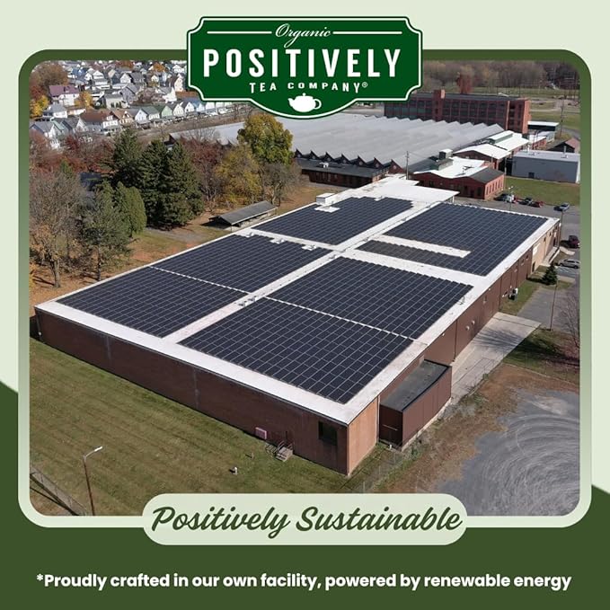 Organic Positively Tea Company, Pinhead Gunpowder Green Tea, Loose Leaf, 16 Ounce