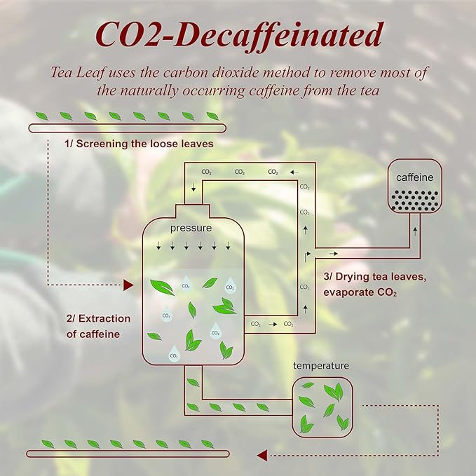 WT WEETEE Decaf Vanilla Caramel Black Tea, 50 Count CO2 Decaffeinated Black Tea Bags | Caramel Vanilla Flavored | Smooth & Mellow Dessert-Inspired