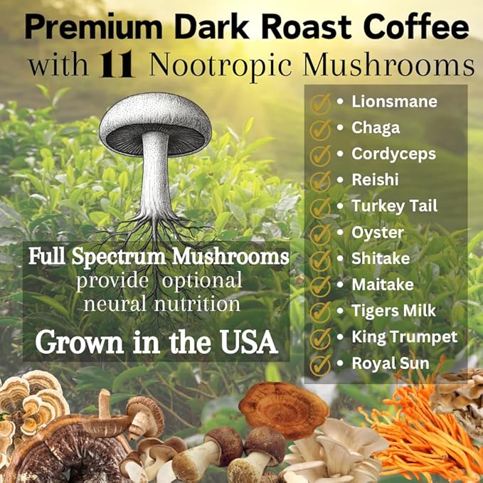 OhmYes 11 Mushroom Coffee + Cacao – Organic Nootropic Superfood Blend with Lion’s Mane, Reishi, Chaga, Cordyceps & Theobromine – Natural Brain Supplement for Memory, Focus & Energy (7 oz)