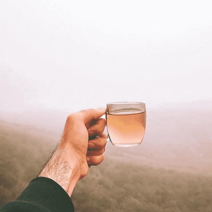 FOCUS Tea | Loose Herbal Tea for Concentration & Alertness | Sage, Peppermint, Rosemary| 100% Wild Crafted, Caffeine Free, Natural, Earthy Flavor | 30G (1.1OZ)