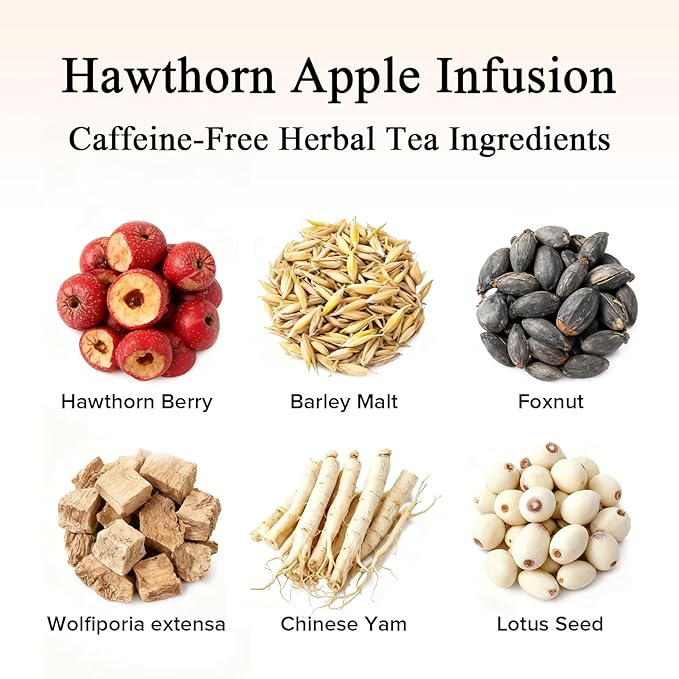 Hawthorn Apple DigestionTea Bags for Balance Stress Relief,Detox Cleanse Tea, Leafberry Herbal Tea Bag Sampler Barley malt Peeled lotus seeds Dried apples, Red dates Healthy Tea Gift Box 10 Bags
